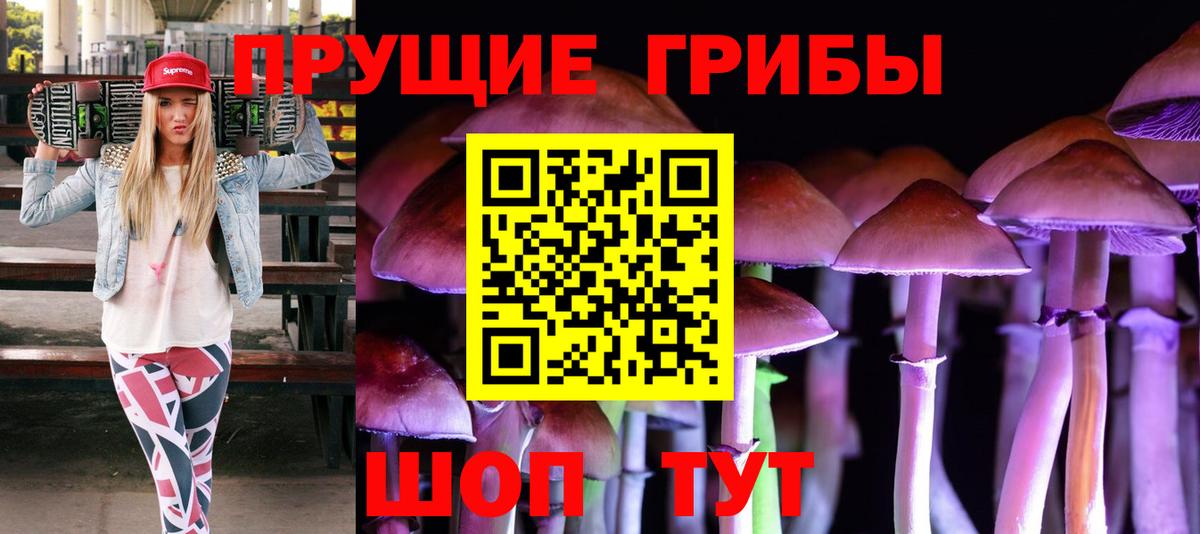 Галлюциногенные грибы MAGIC MUSHROOMS  Вход с VPN  Тайшет 